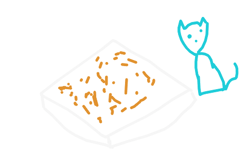 a litter box